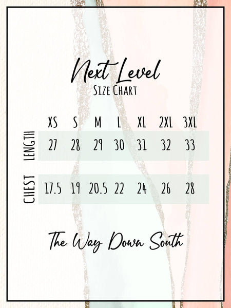 Size chart for 'Next Level' clothing with 'The Way Down South' branding.